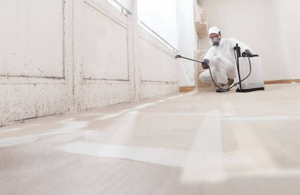 Trusted Mold Inspection service in Owings Mills, MD - WQB Mold Removal