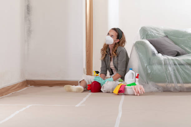 Reliable Mold Inspection contractor in Owings Mills, MD by WQB Mold Removal